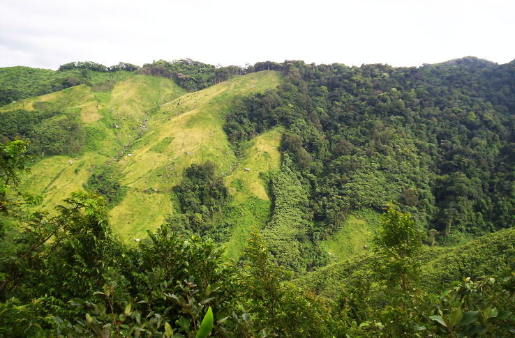 1. Balphakram National Park